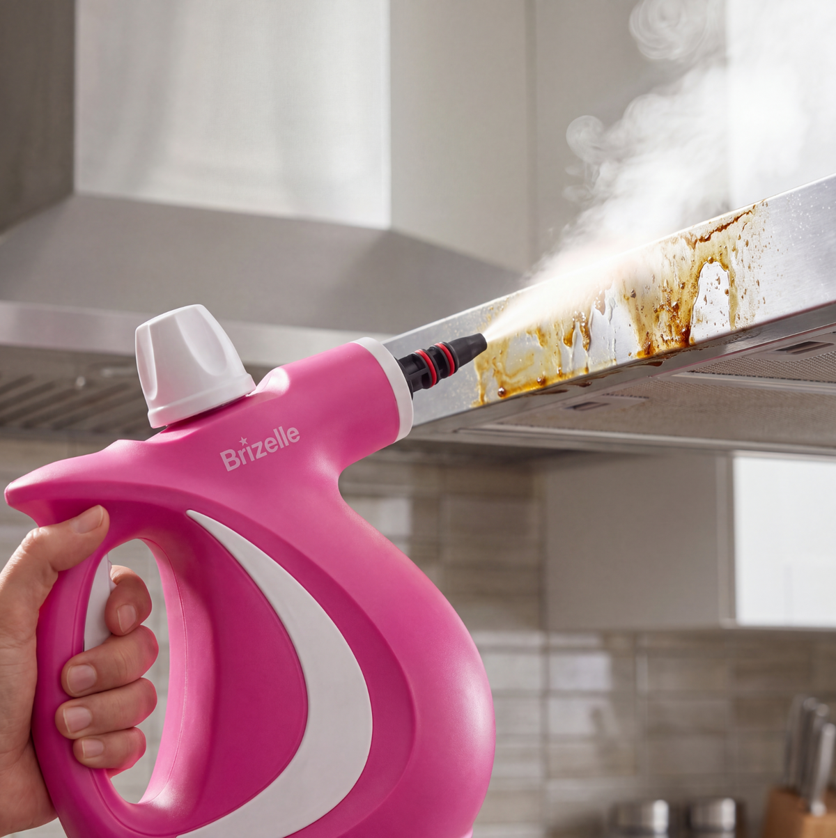 Brizelle PureSteam Pro