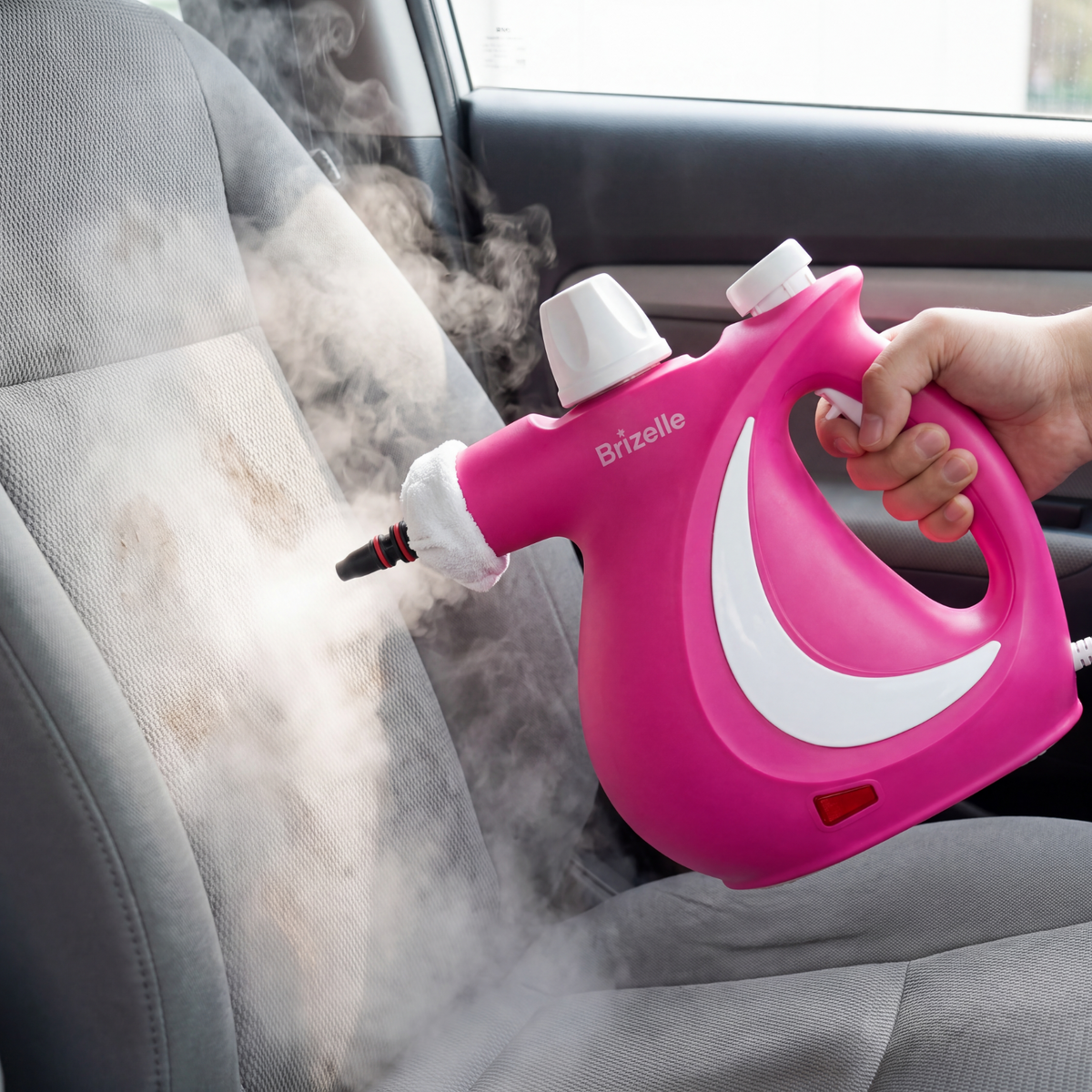 Brizelle PureSteam Pro